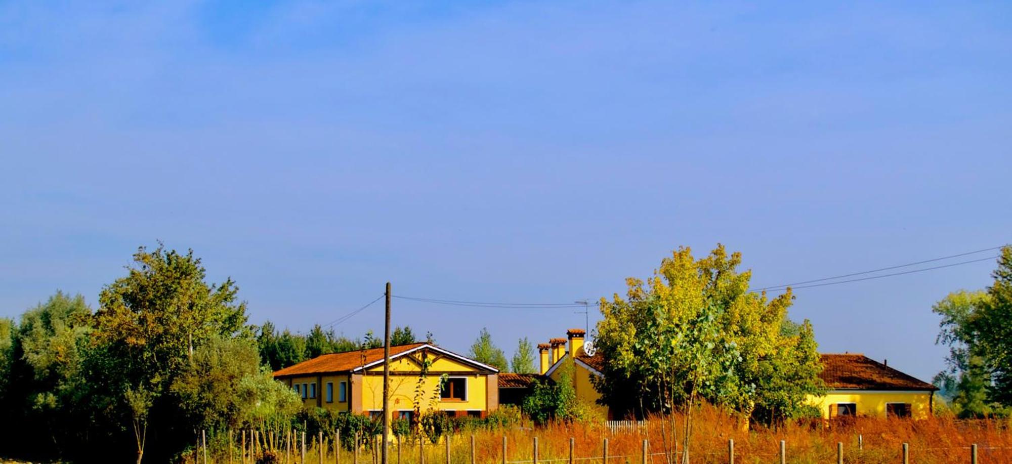 Ca' Leone - Regina Vittoria - Apartment With Pool Mira Exterior foto