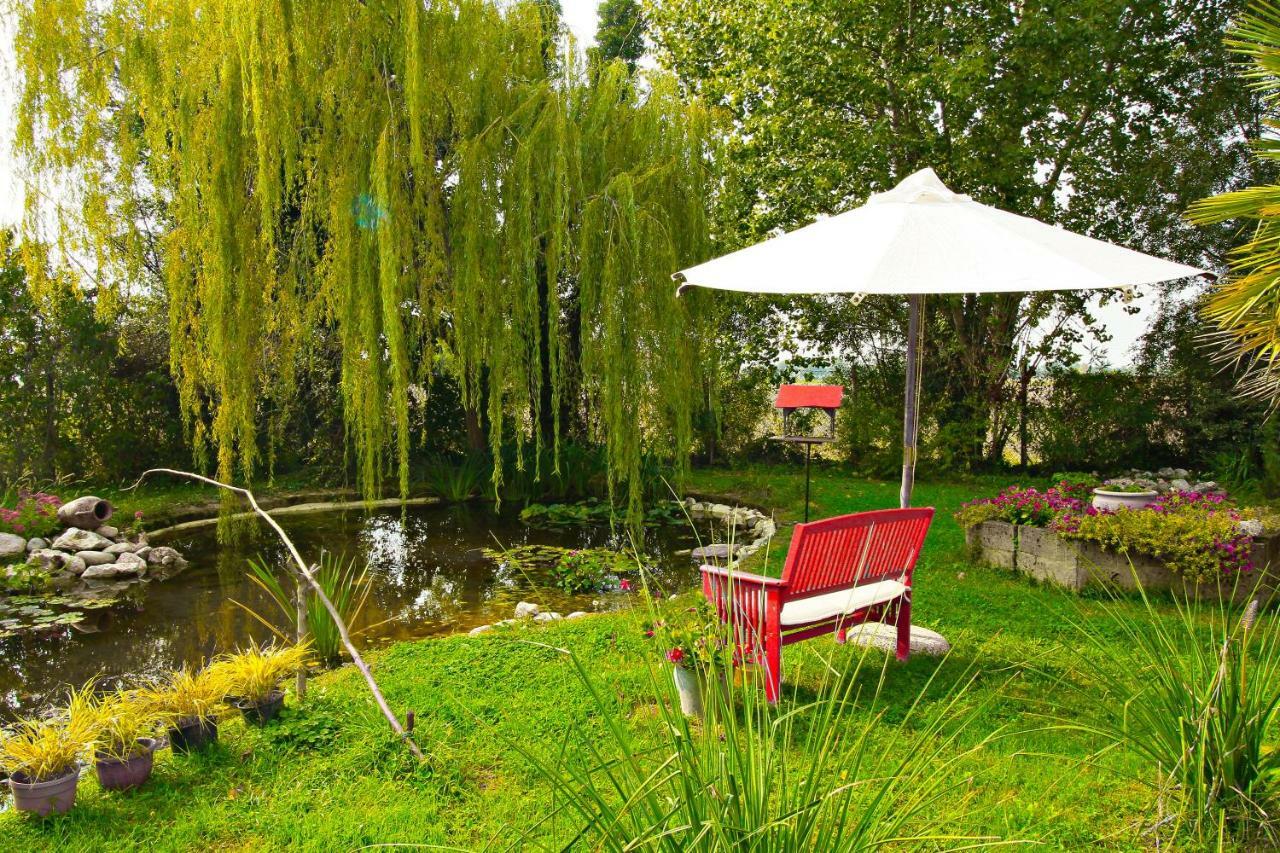 Ca' Leone - Regina Vittoria - Apartment With Pool Mira Exterior foto
